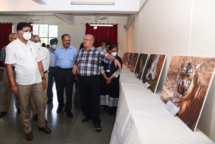 WhatsApp Image 2022-09-02 at 17.12.00