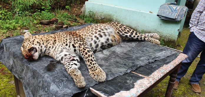 WhatsApp Image 2022-09-02 at 17.45.05